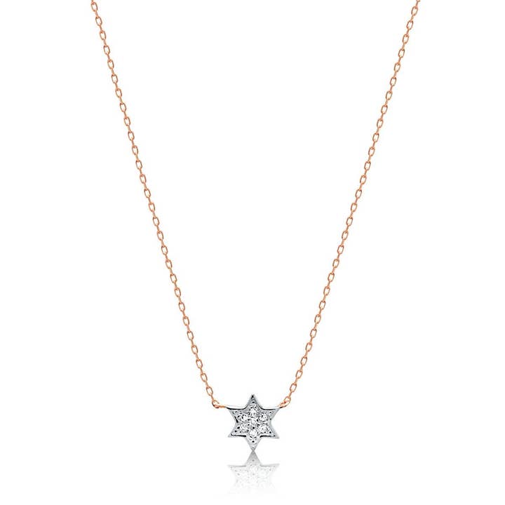 ALEF BET JEWELRY - Wholesale Pendant/Charm Necklace - Petite Jewish Star Necklace in 14k Gold with Diamonds6