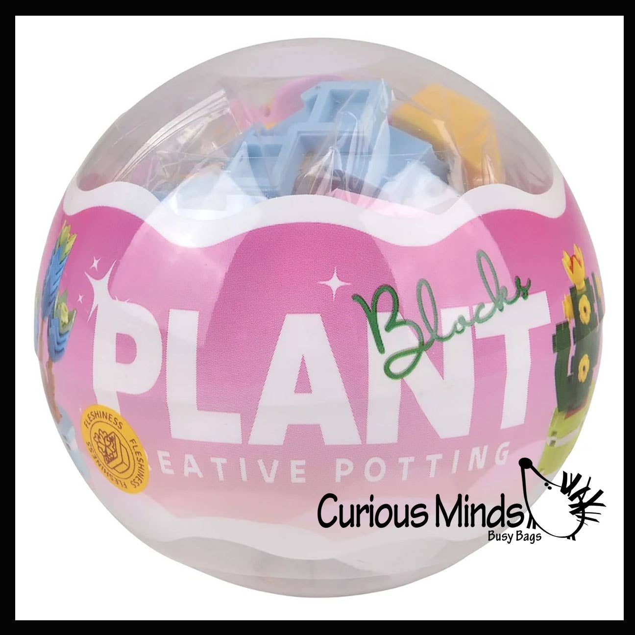 Curious Minds Toys – Großhandel Baukasten – Kinder – 1 Mini-Pflanze Sukkulente Blumen-Baustein-Set Spielzeug -4