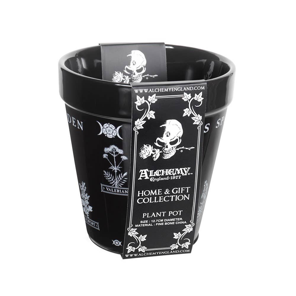 Alchemy Of England (Alchemy USA Distributor) - Vente Pot - Pot de Plantes de Jardin de Sorcières (Pot de Plantes en Céramique)2