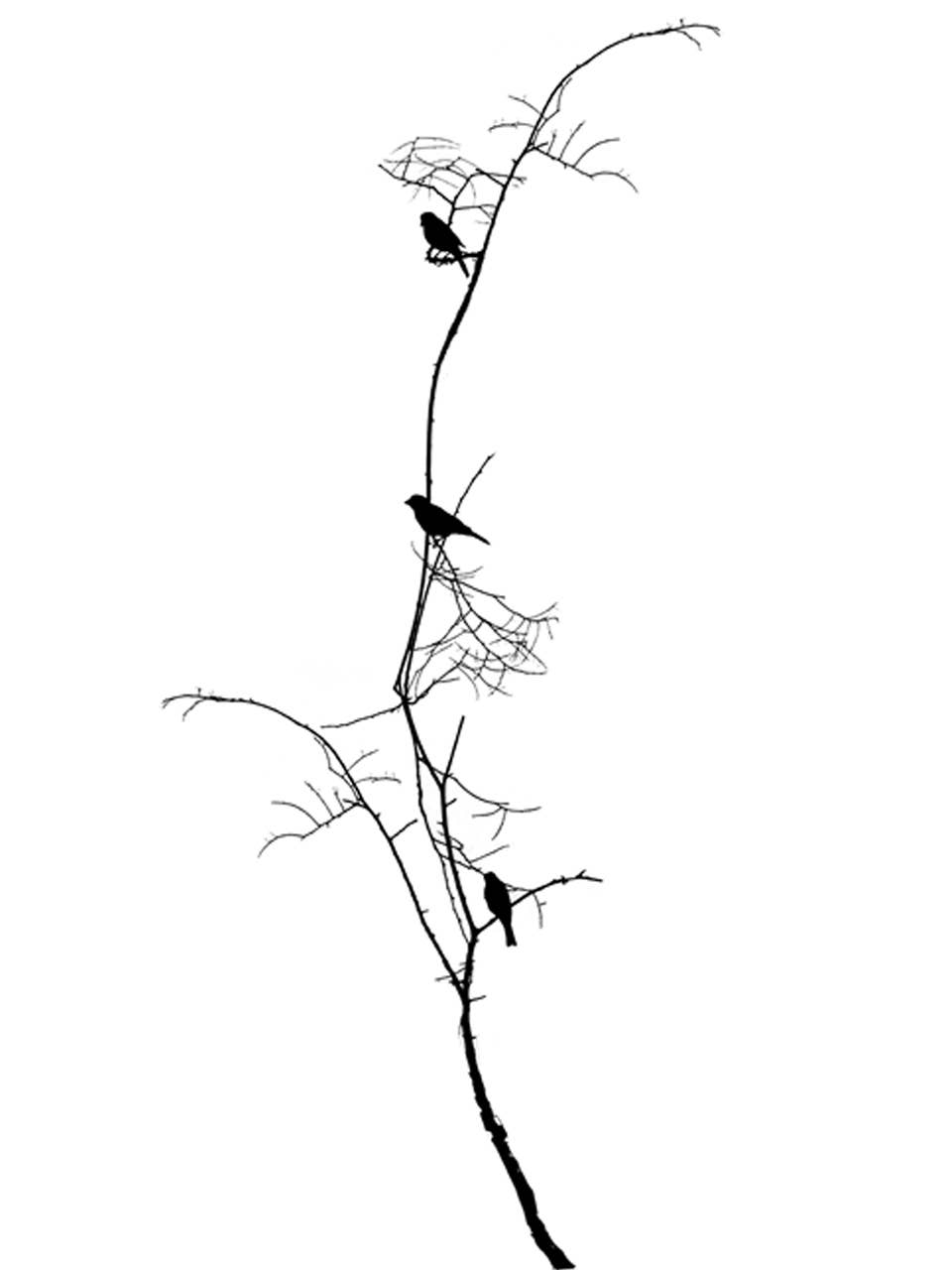 Supermaggie @ Faire - Wholesale T-Shirt (Graphic) - Women's - Birds On Branch Maisie Heavyweight Muscle Tee4