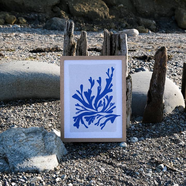 Blue seaweed coastal art print for wholesale by The Moonlit Press