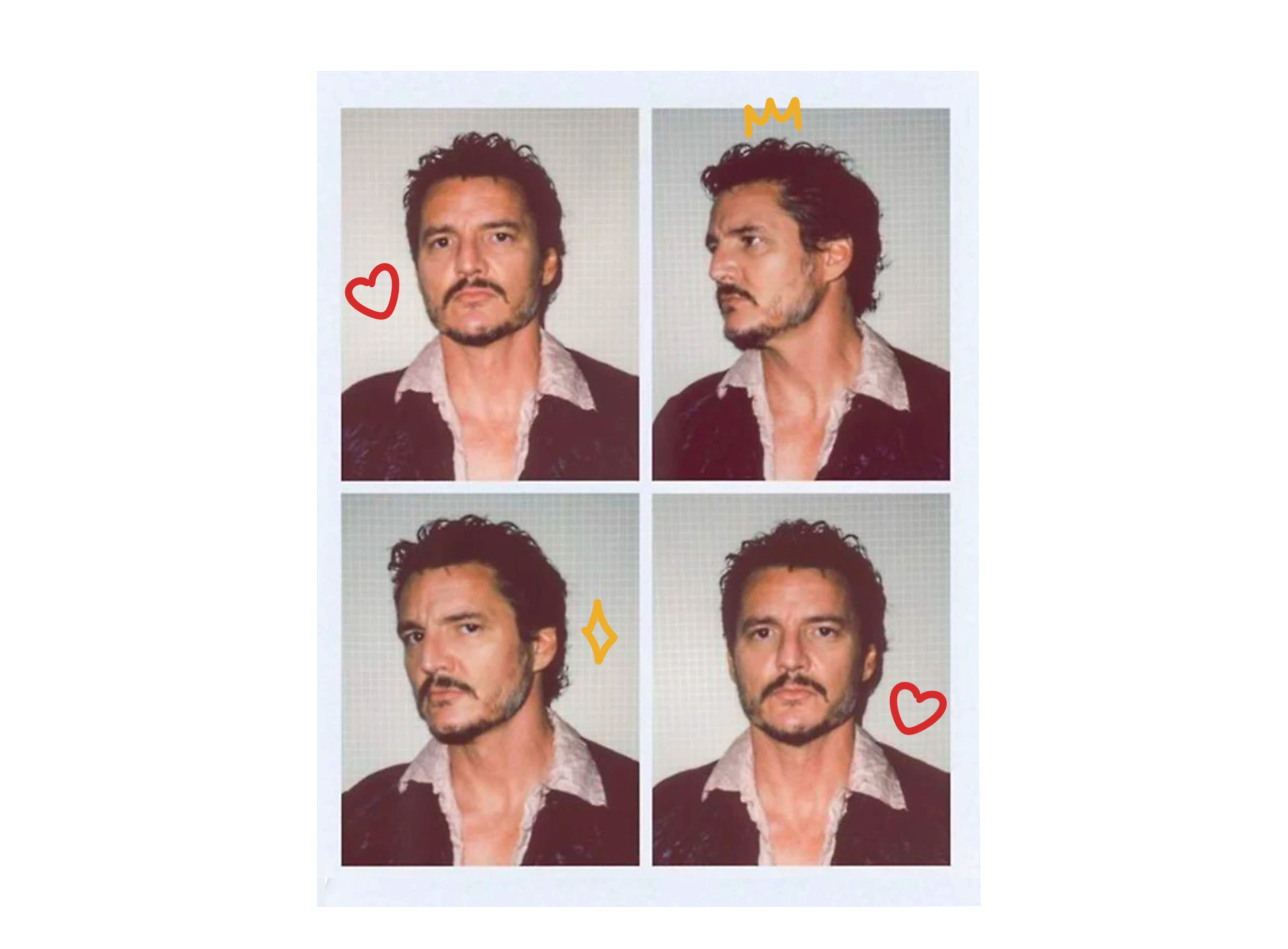 Cocollama Design - Wholesale Sticker - Pedro Pascal Sticker - Aesthetic Vinyl Decal for Laptop 2