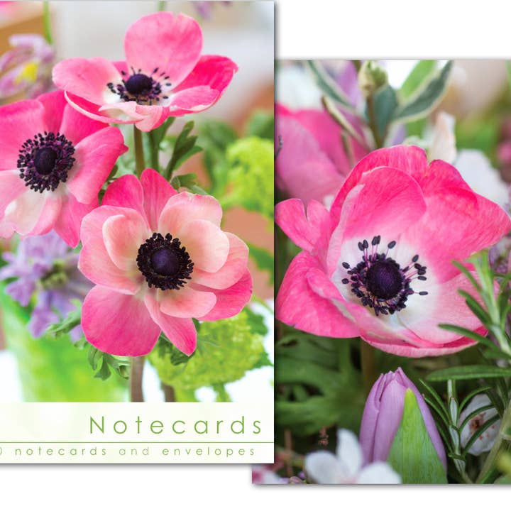 Notecard Wallet - Pink Anemone (10 cards) for wholesale by Leonard Smith
