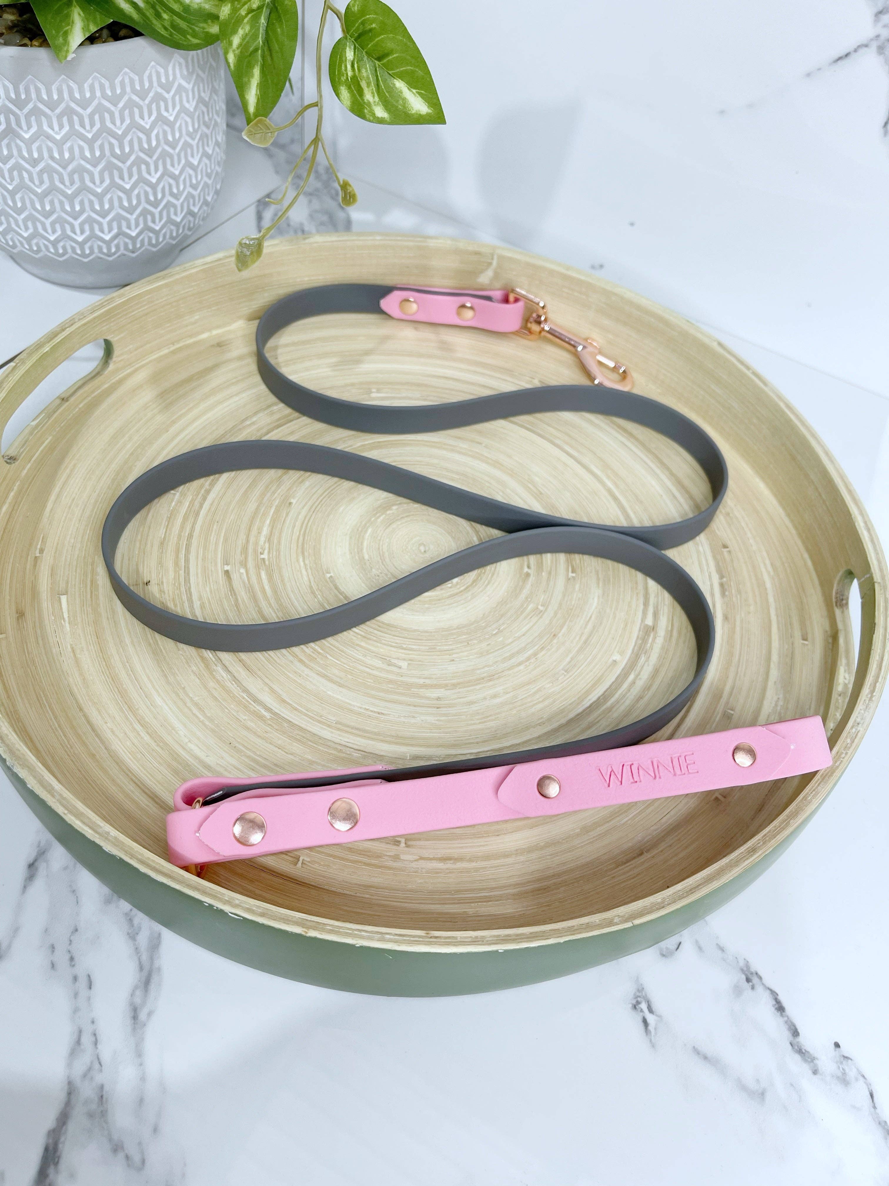 My Pawchella - Wholesale Hondenriem - Hond - *Ontwerp je eigen* biothane / gekleurde nylon hondenriem21