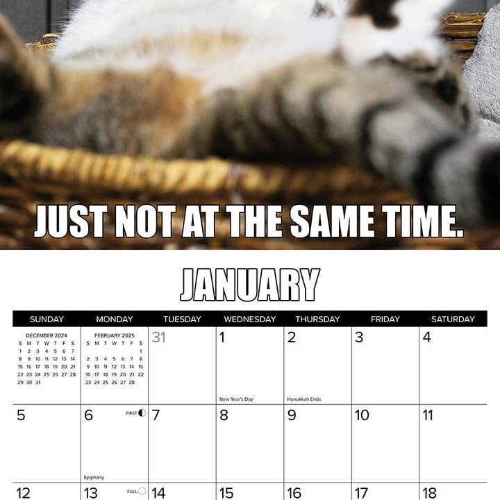 Willow Creek Press & Gifts - Wholesale Calendar - Cat-astrophe 2025 Wall Calendar