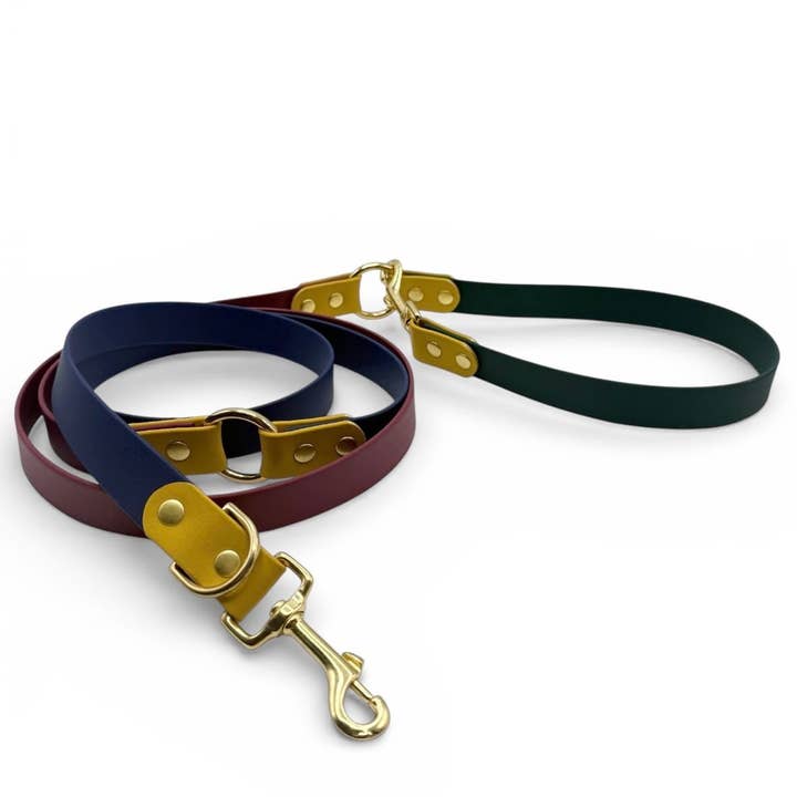 Splash By Happy - Wholesale Pet Collar - Dog - Le Club Universitaire2