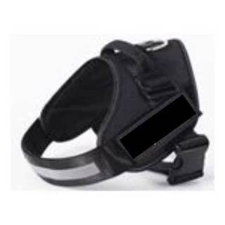 Harnais de Sécurité pour Animaux - Noir pour la vente par MVPDOGS.com
