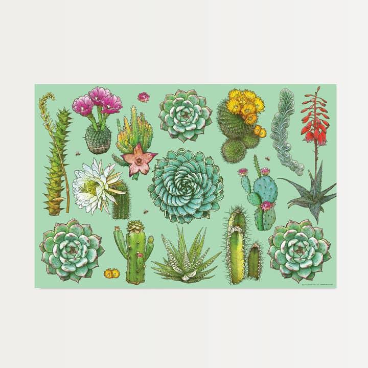 Catti Beauties Paper Placemats (Conjunto de 20) por atacado de Brook Isle