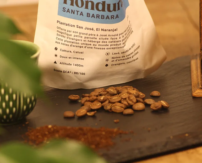 Café 24TERRE - Wholesale Coffee Beans - San José coffee beans, El Naranjal, origin Honduras 200 g4