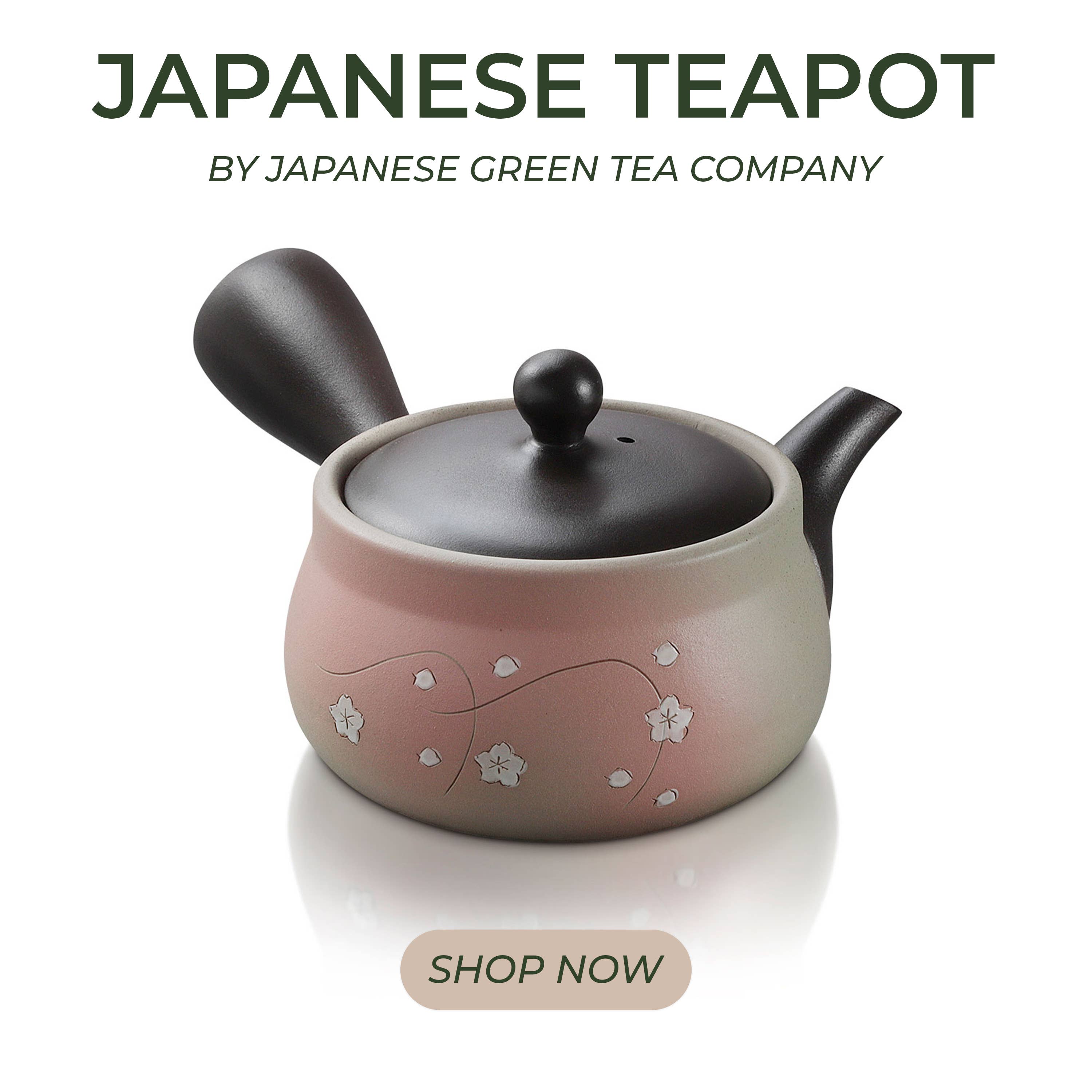 Japanese Green Tea Co. - Vendita all'ingrosso Teiere - Tokoname Yaki Kyusu teiera da 270 cc per tè Fukamushi17