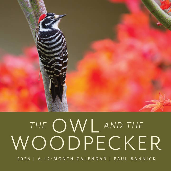 The Owl & the Woodpecker 2026: 12-Month Wall Calendar for wholesale by Mountaineers Books