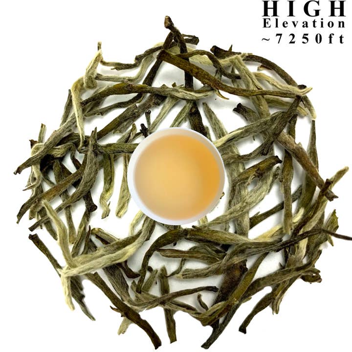33° Silver Needle Tea for wholesale by Danfe Tea