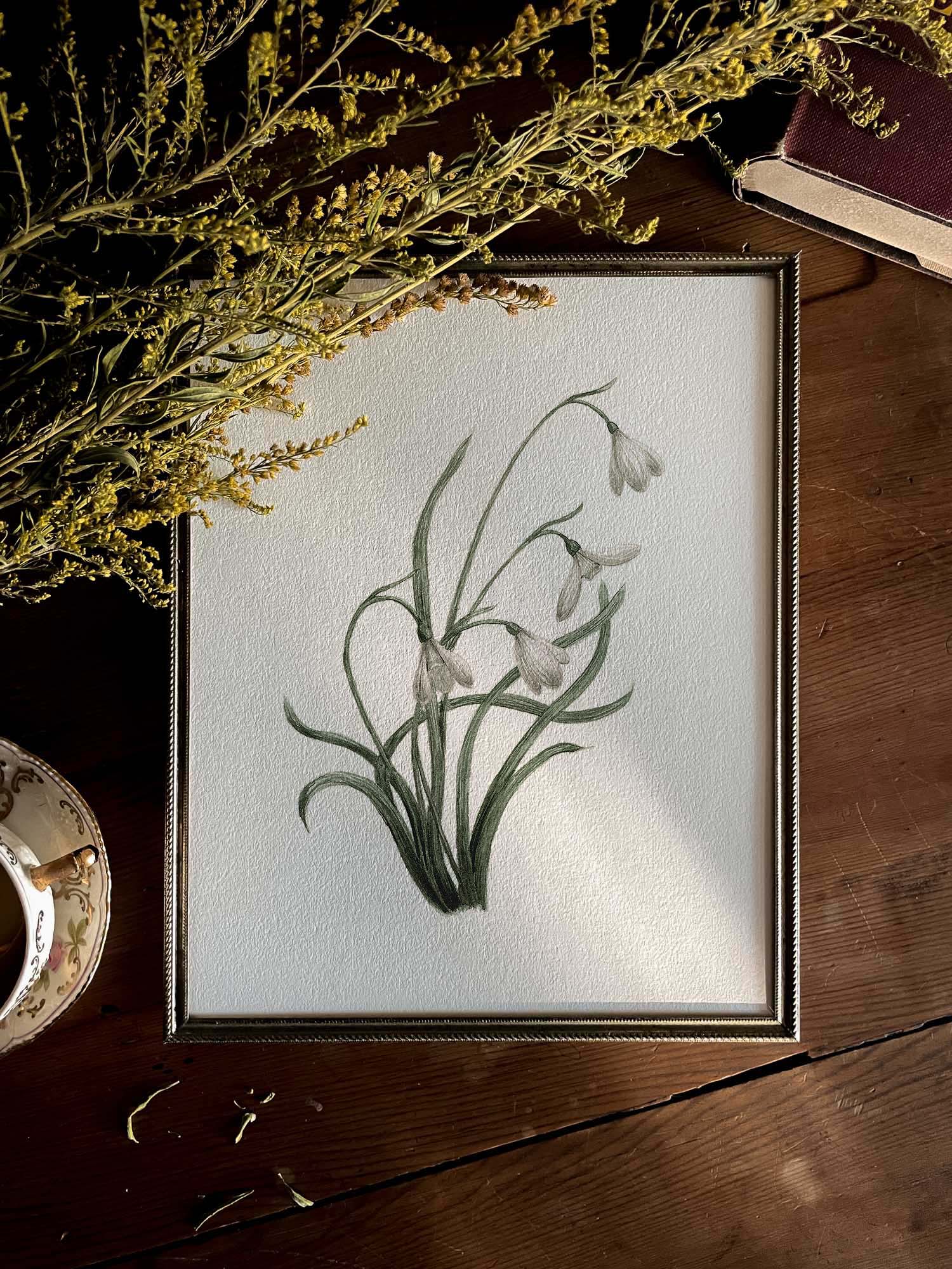 Kara Valentino Ffield Art - Wholesale Art Print - Snowdrops | Watercolor Art Print 1