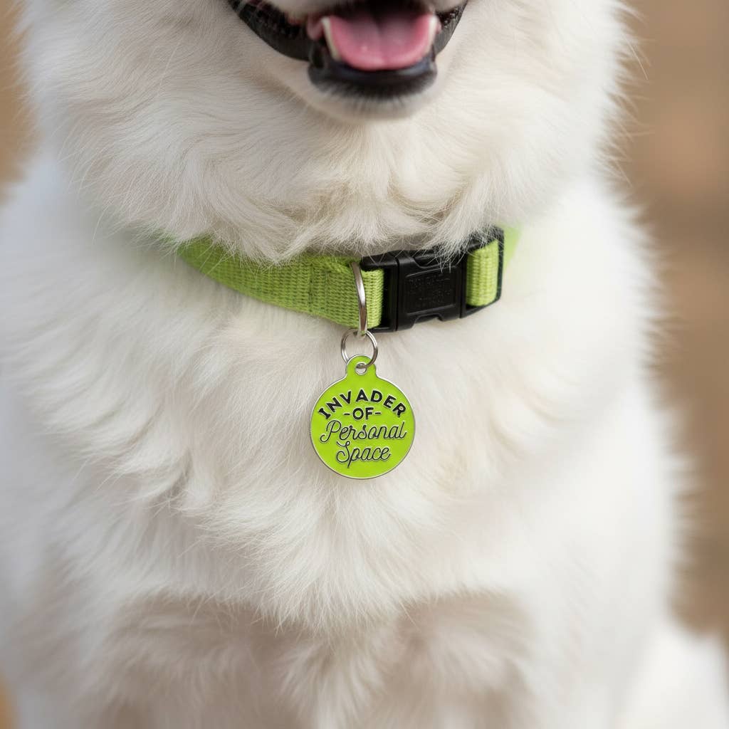 Bad Tags - Wholesale Pet Identification Tag - Dog - Personalized Dog ID Tag w/ QR Code - Invader Personal Space 10