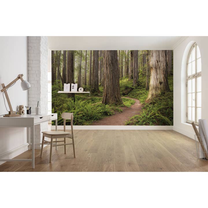 Papel pintado fotográfico de lana, Redwood Trail, tamaño 450 x 280 cm para venta al por mayor de Komar Products GmbH & Co. KG
