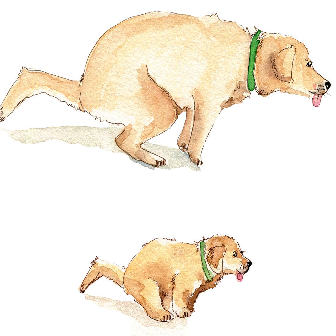 Liyana Studio - Vendita all'ingrosso Biglietti per la Festa del Papà - Biglietto divertente per la festa del papà «Like Father Like Daughter»3