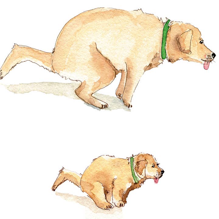 Liyana Studio - Wholesale Father's Day Card - Like Father Like Daughter - Funny Fathers Day Card3