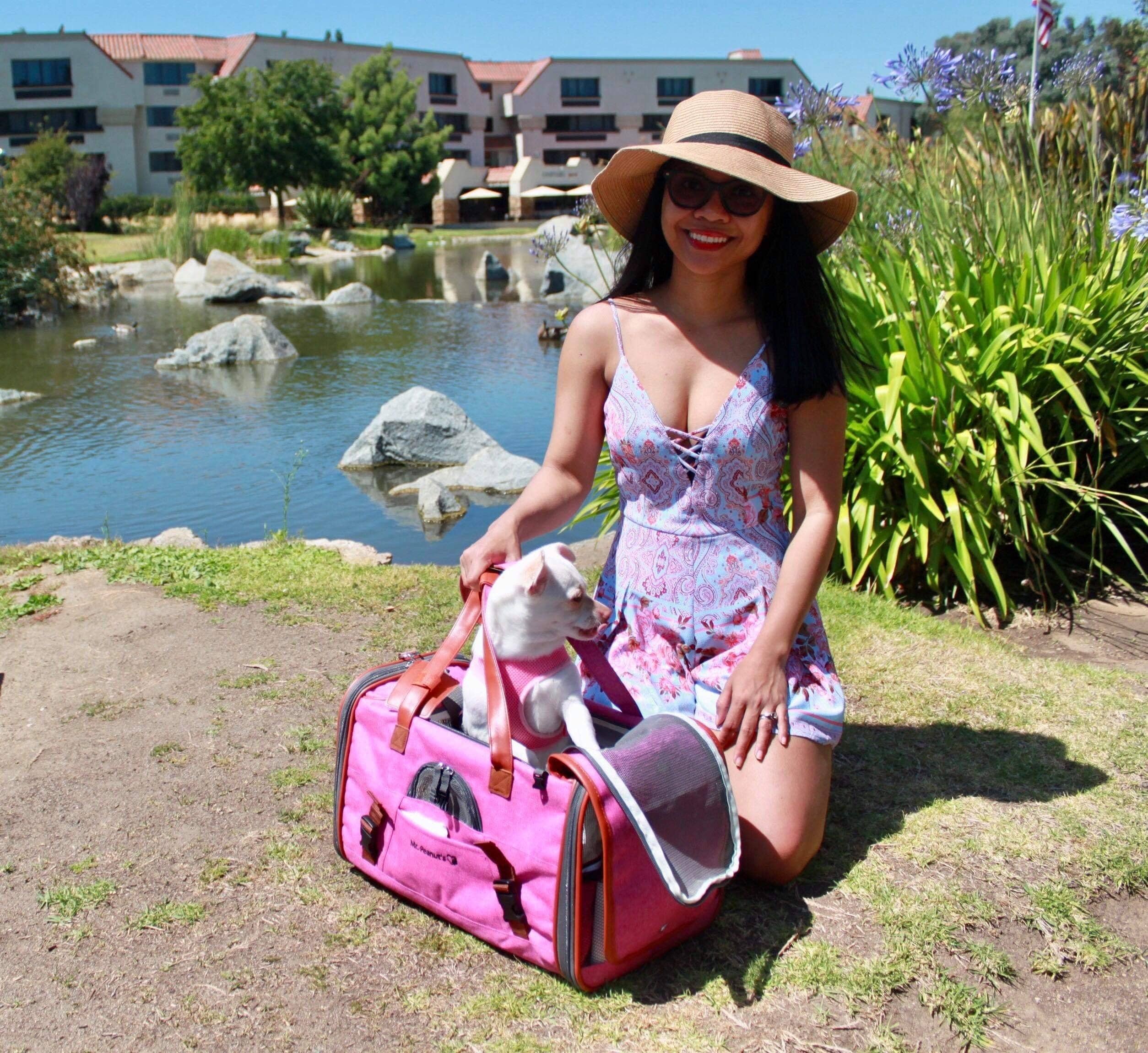 Mr. Peanut's - Wholesale Pet Carrier - Cat/Dog - Mr. Peanut's Gold Series Standard Size Airline Compliant Pet Carrier15