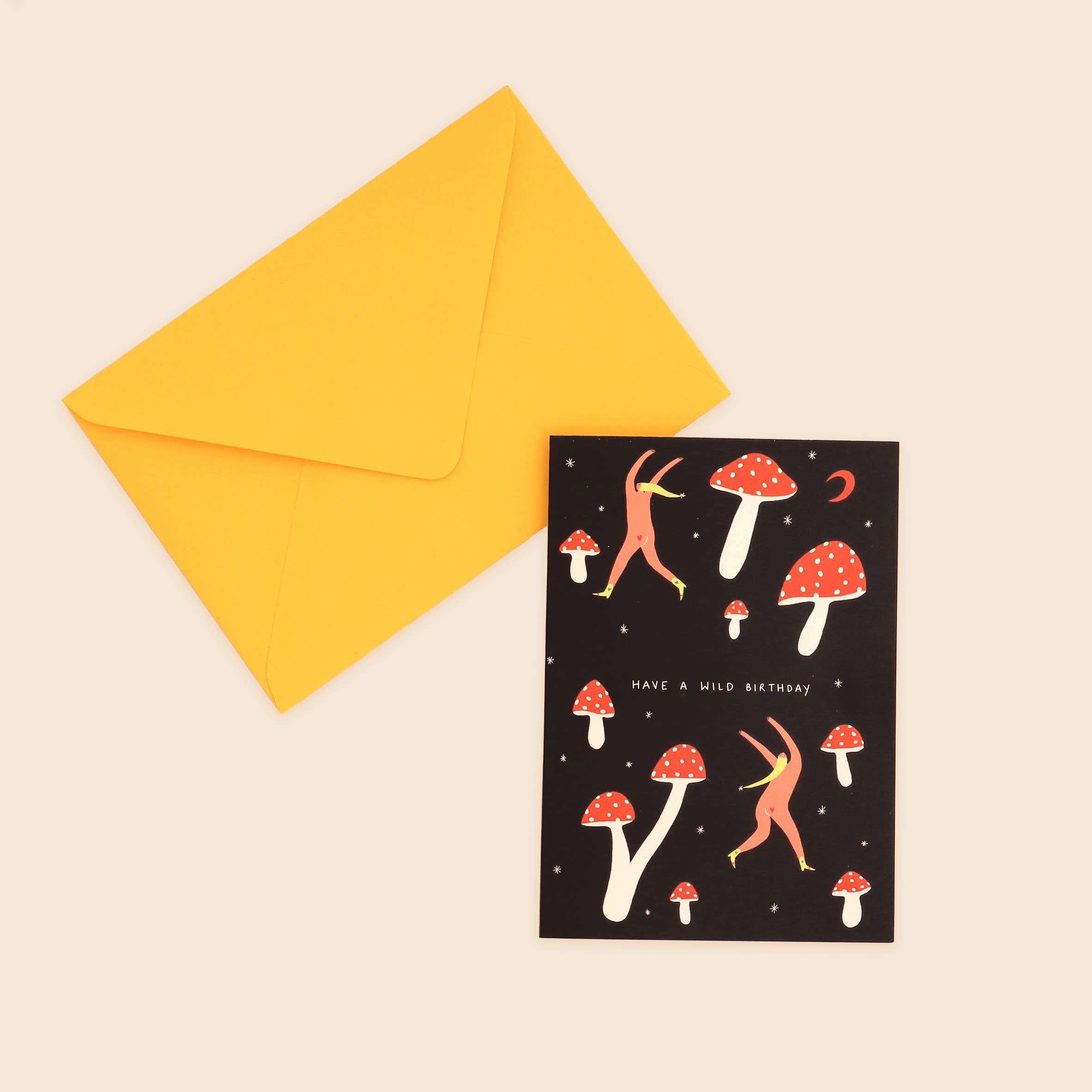 Little Black Cat Illustrated Goods – wholesale Birthday card – Wild Birthday Card | Cheeky Birthday Card | Happy Birthday2