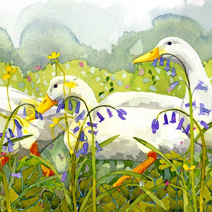 Bluebell Limited Edition Print Pc11 for wholesale by Mary Ann Rogers Gallery