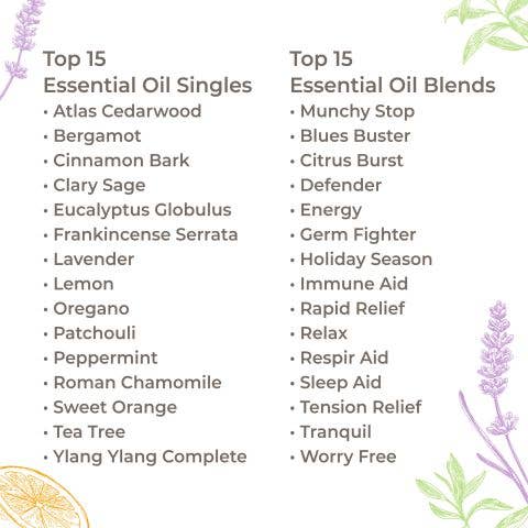 Essentially Oil'd Australia - Wholesale Essential oil - 15 & 15 Essential Oil Set with Carrying Case2