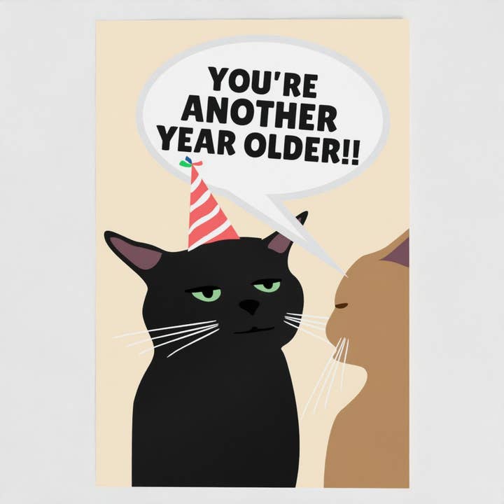 Another Year Older Sad Cat Funny Pet Card for wholesale by The New Aesthetic