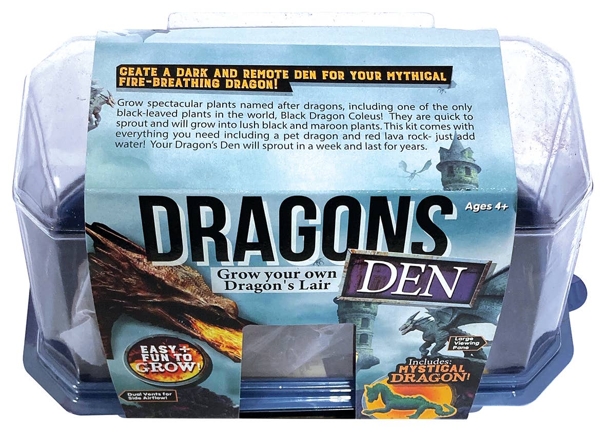 Silver Circle Products - Wholesale DIY Craft Kit - Kids - Dragon's Den Mini World Terrarium3