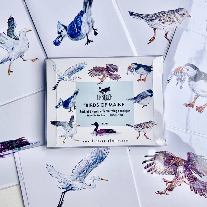 Maine Bird Greeting Card Pack for wholesale by Liz Burdick Arts