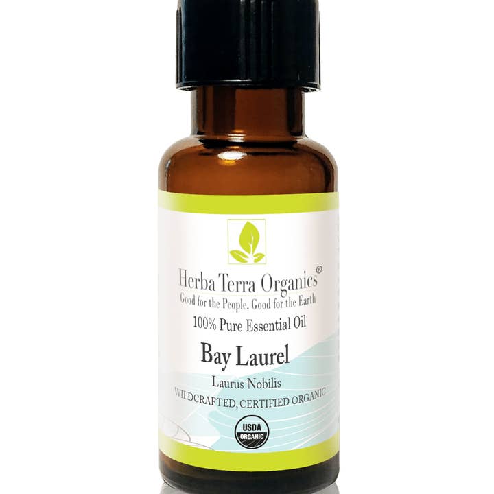 Bay Laurel Essential Oil for wholesale by Herba Vera Organics