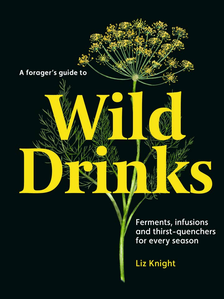A Forager's Guide to Wild Drinks for wholesale by Thames and Hudson