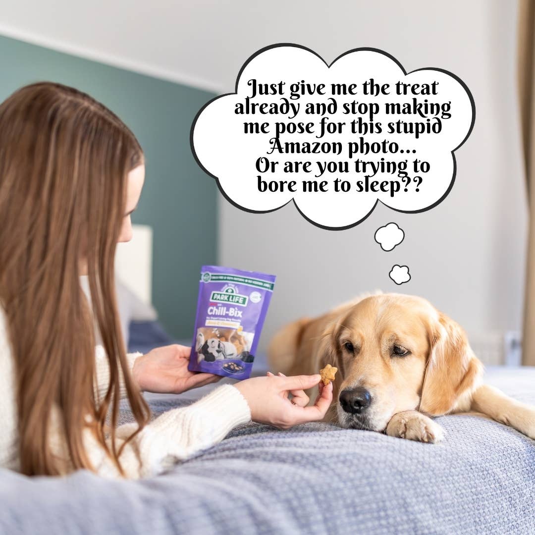 PARK LiFE - Wholesale Pet Biscuit - Dog - Chill Bix Calming Dog Biscuits Honey & Chamomile 100g Pouch8