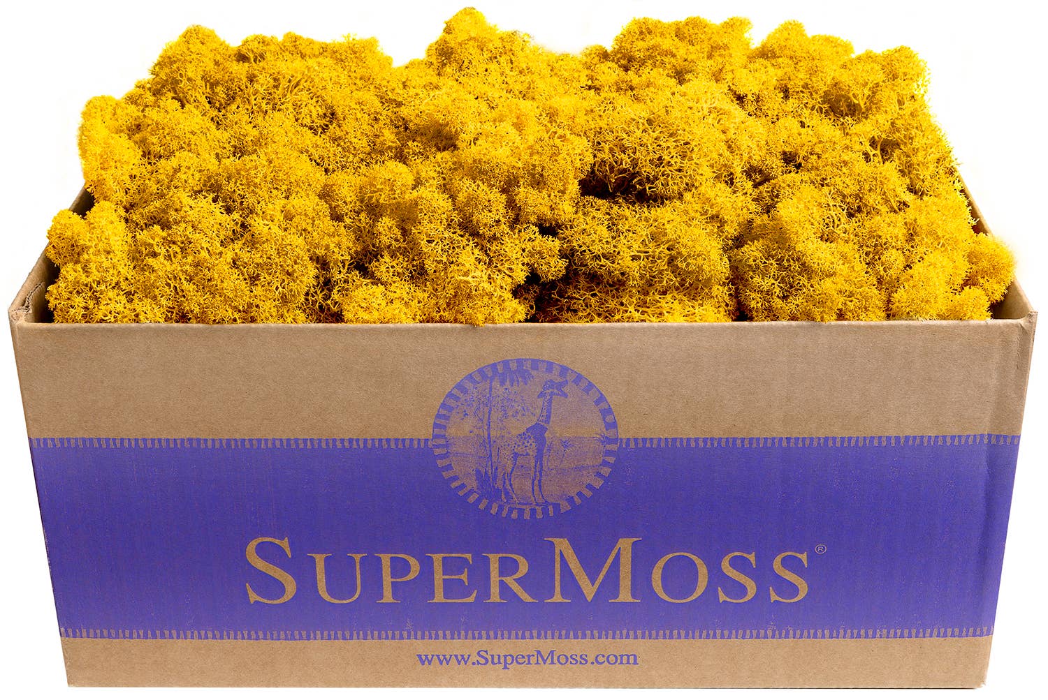 SuperMoss - Wholesale Dried/Pressed Flowers - Reindeer Moss Preserved 3lb Bulk Box13