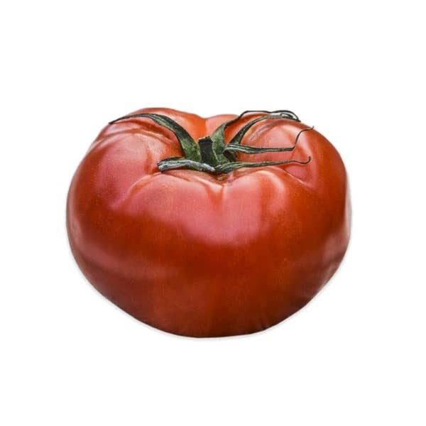 Bentley Seed Co. - Wholesale Plant Seeds - Tomato, Rutgers2