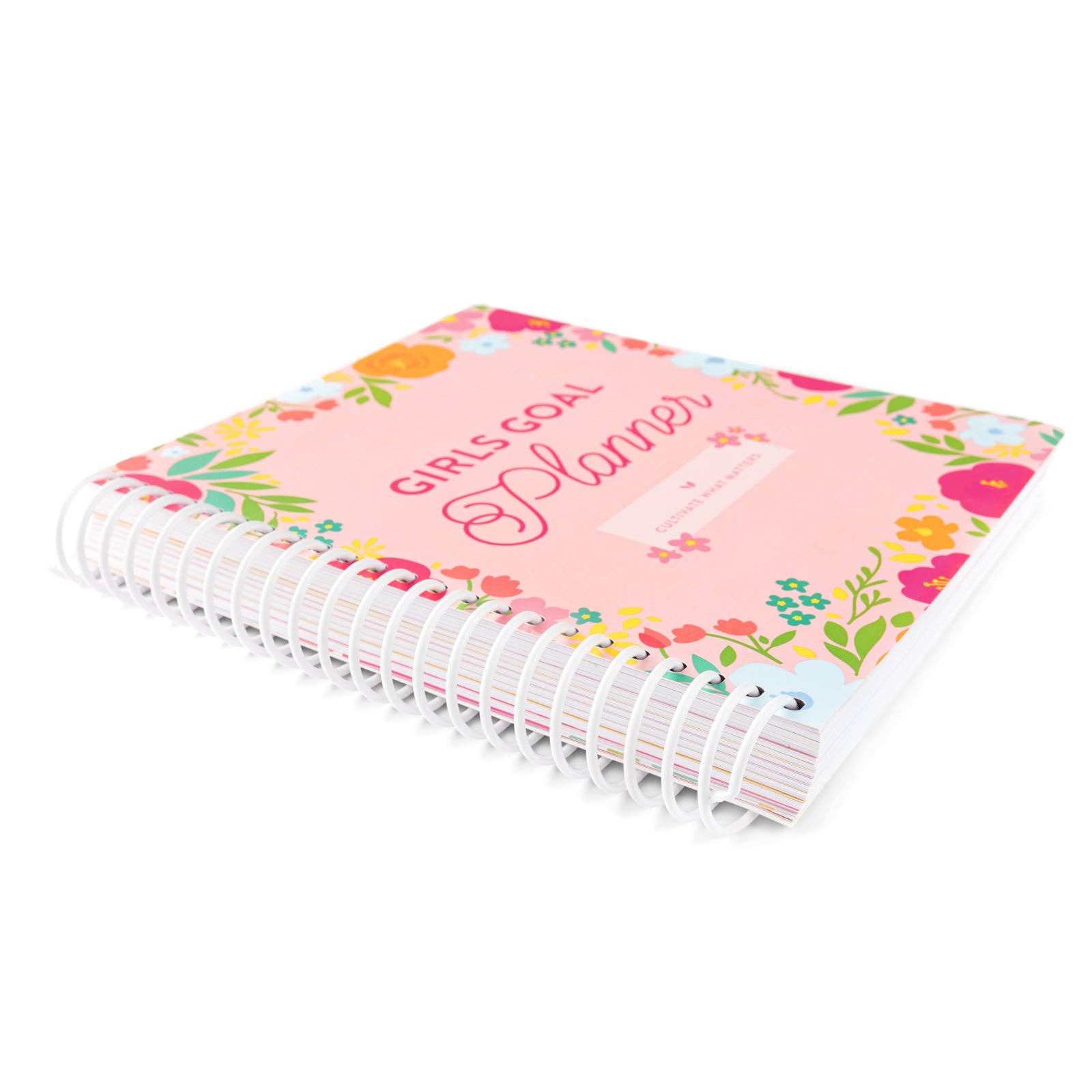 Cultivate What Matters - Wholesale Planner - Girls Goal Planner17