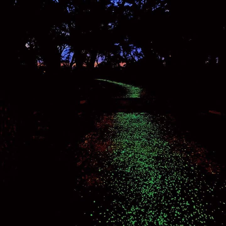 IT GLOWS - Wholesale Stepping stone - 8-15mm Premium Glow In The Dark Rocks - Green/ Glow Stones 1