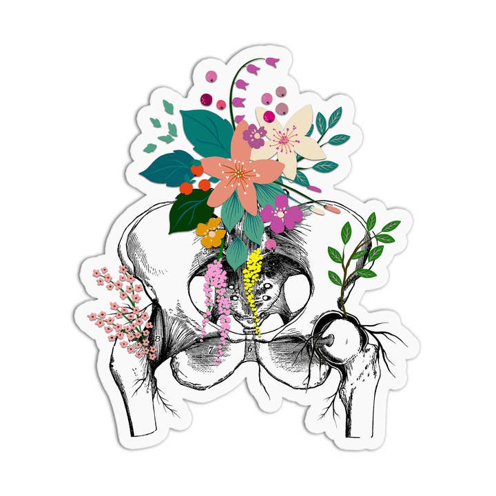 Anatomy with Flowers Pelvis Vinyl Textured Stickers and other Purchase Wholesale jiffy 7 peat pellets. Free Returns & Net 60 Terms on Faire trending on Faire.