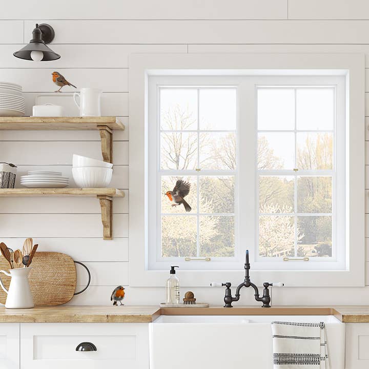 MYRTE - Vente Autocollant mural - Autocollant mural Illustration Robin4