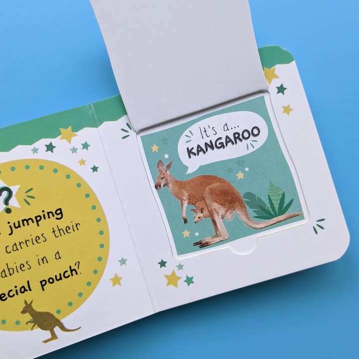 Robert Frederick Ltd - Wholesale Book - Kids - Little Wonders My First Mini Lift The Flap Book