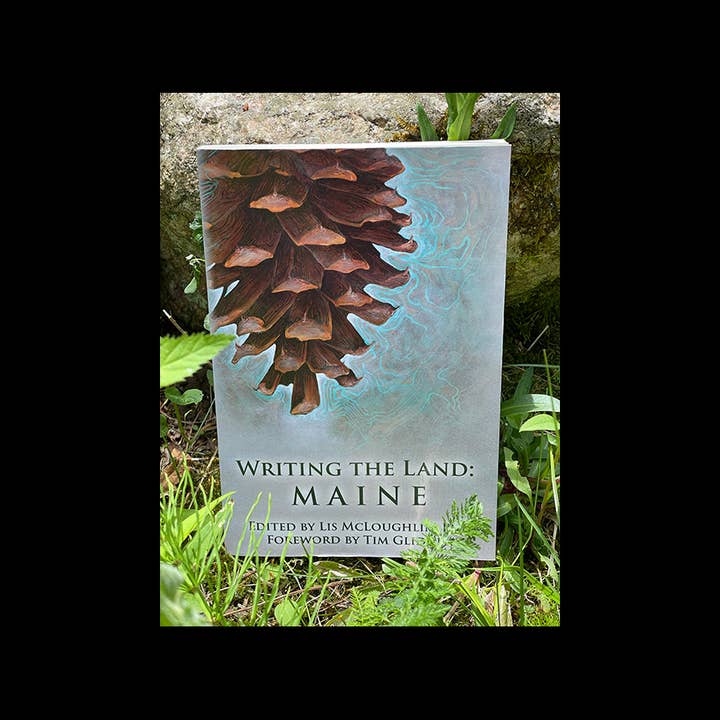 Écrire le pays : le Maine pour la vente par NatureCulture