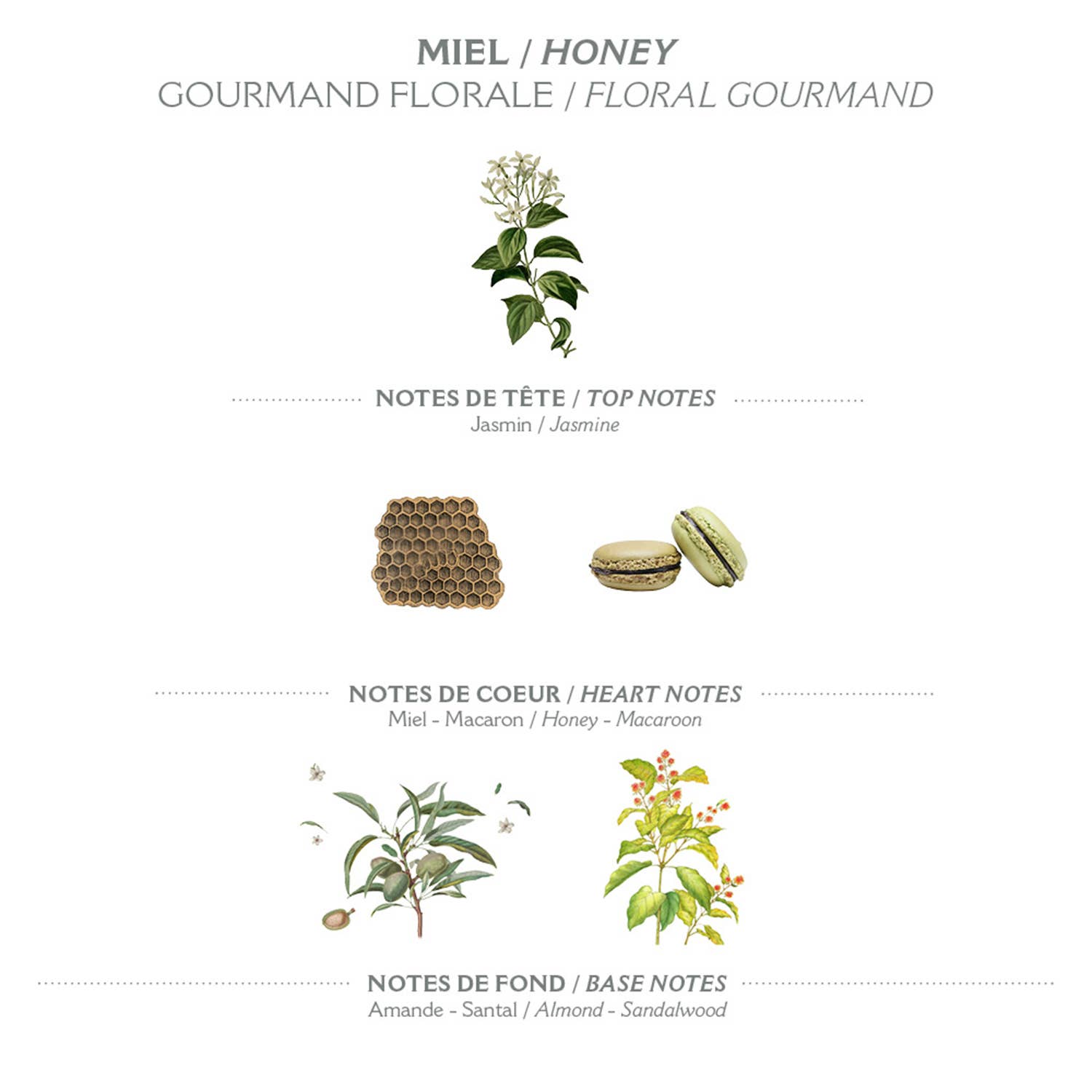 Panier Des Sens - Venta al por mayor Gel de ducha/baño - Jabón líquido exfoliante 500 ml | Miel1