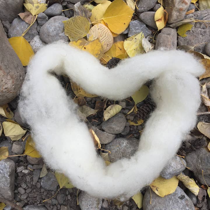 BlistWool Inc. - Venta al por mayor Kits de primeros auxilios - BlistWool: ayuda natural para la prevención de ampollas1