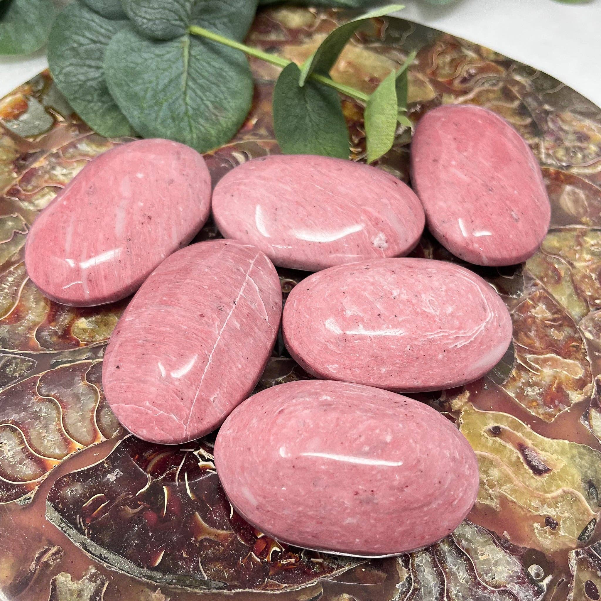 The Crystal Tabby – wholesale Spiritual stone/crystal – Pink Petrified Wood Palm Stone0