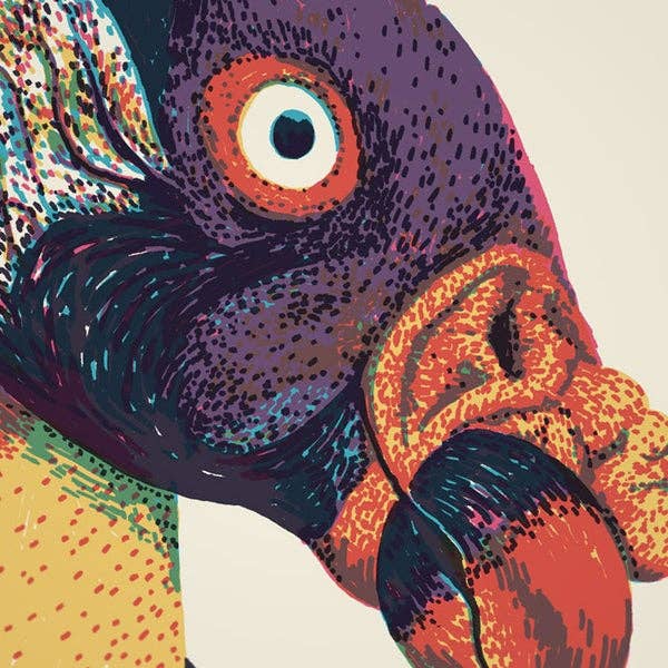 SORRY - Wholesale Kunstprint - Bigs - Vogelsnavels nr. 13