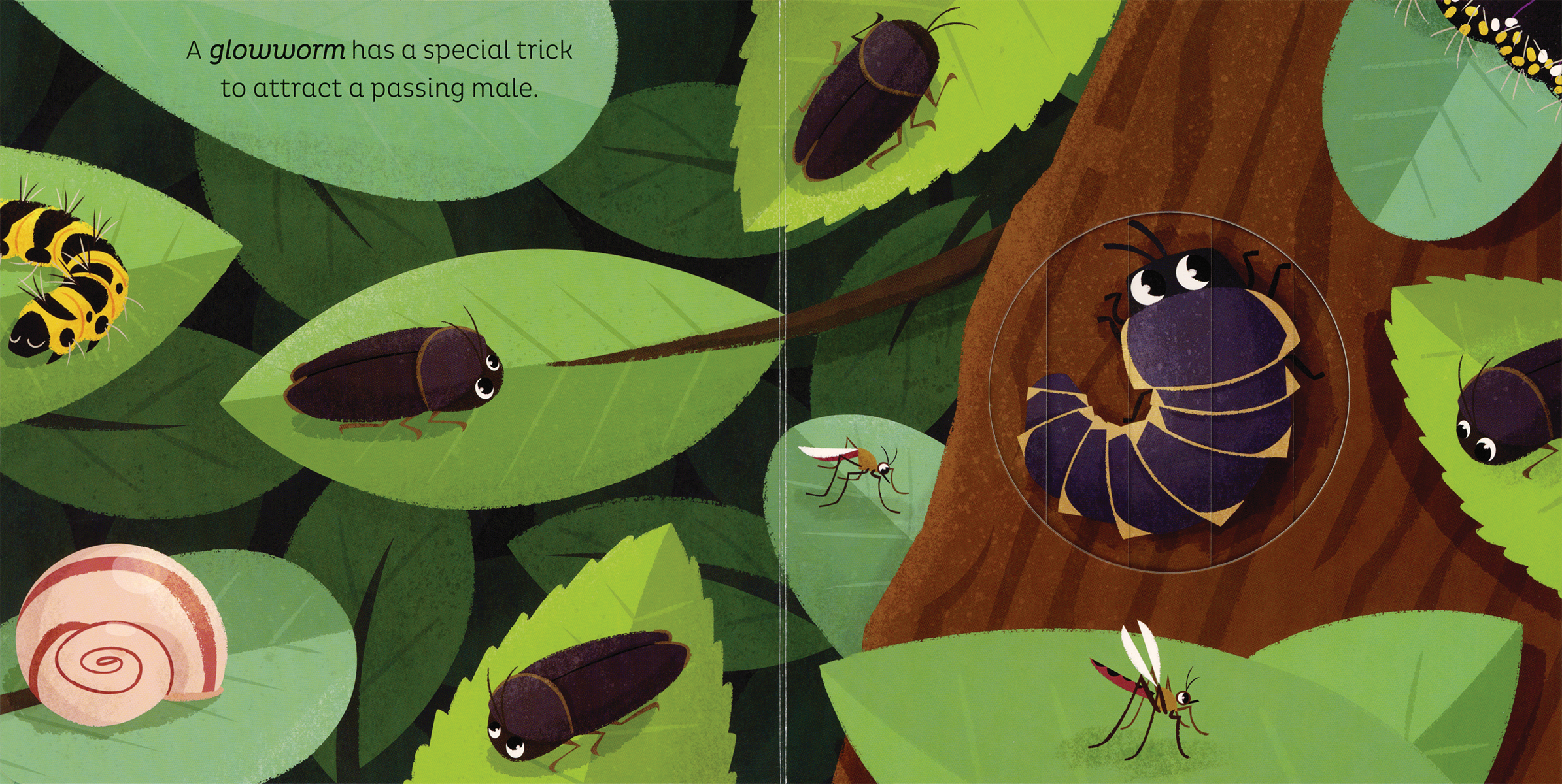 EDC Publishing - Wholesale Preschool Book (3-5) - Animal Magic: In the Night1