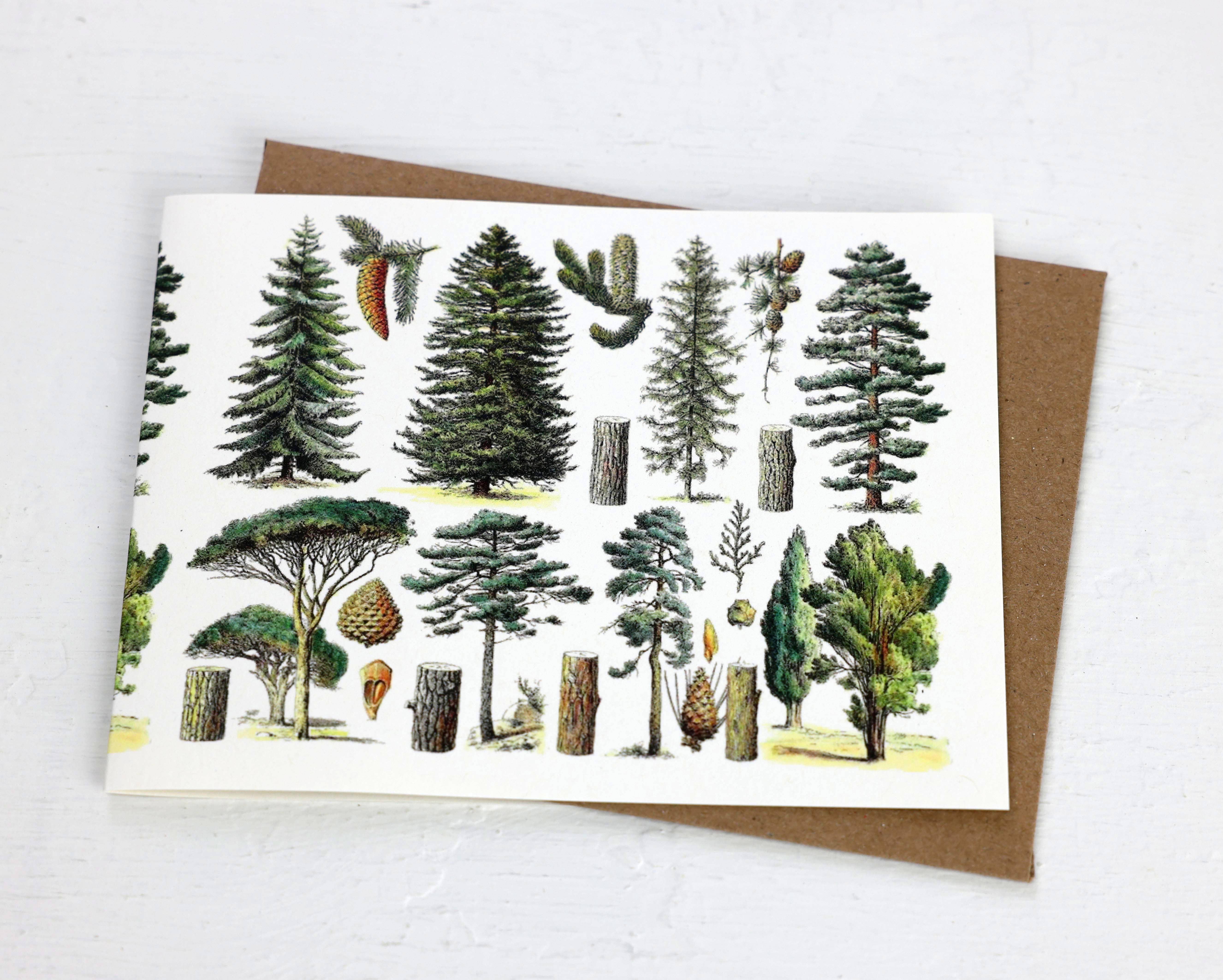 Fairhope Graphics - Vente Carte de vœux classique - Carte de la forêt de conifères1