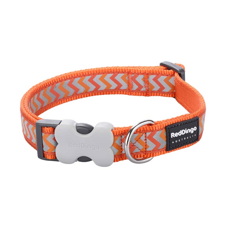 Bucklebone Dog Collar Reflective Ziggy Orange for wholesale by Red Dingo Australia