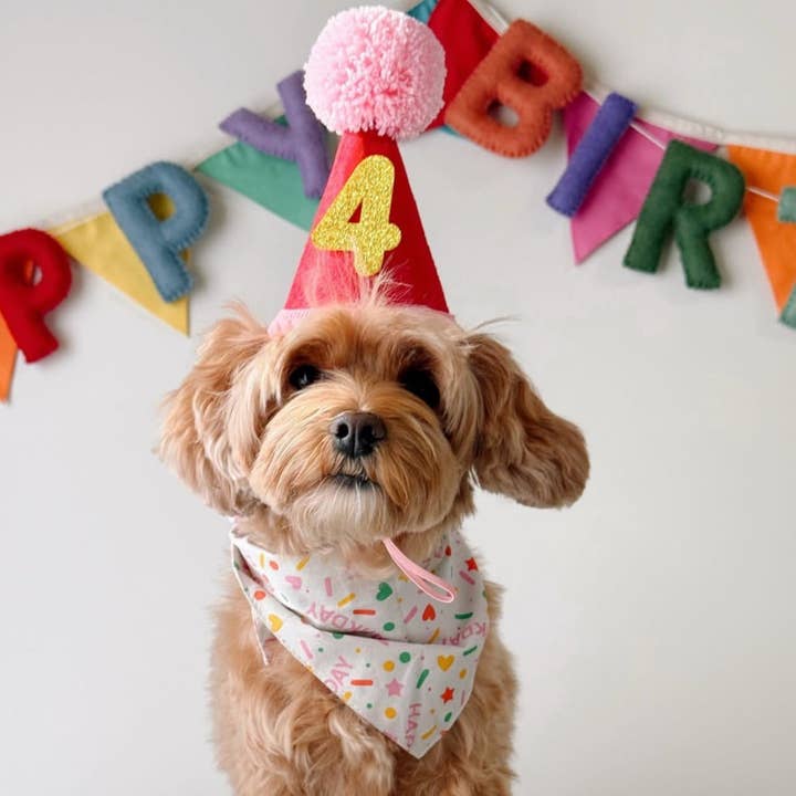 The Paws - Wholesale Pet Bandana - Dog - Sparkle Pawty Pink Dog Bandana2