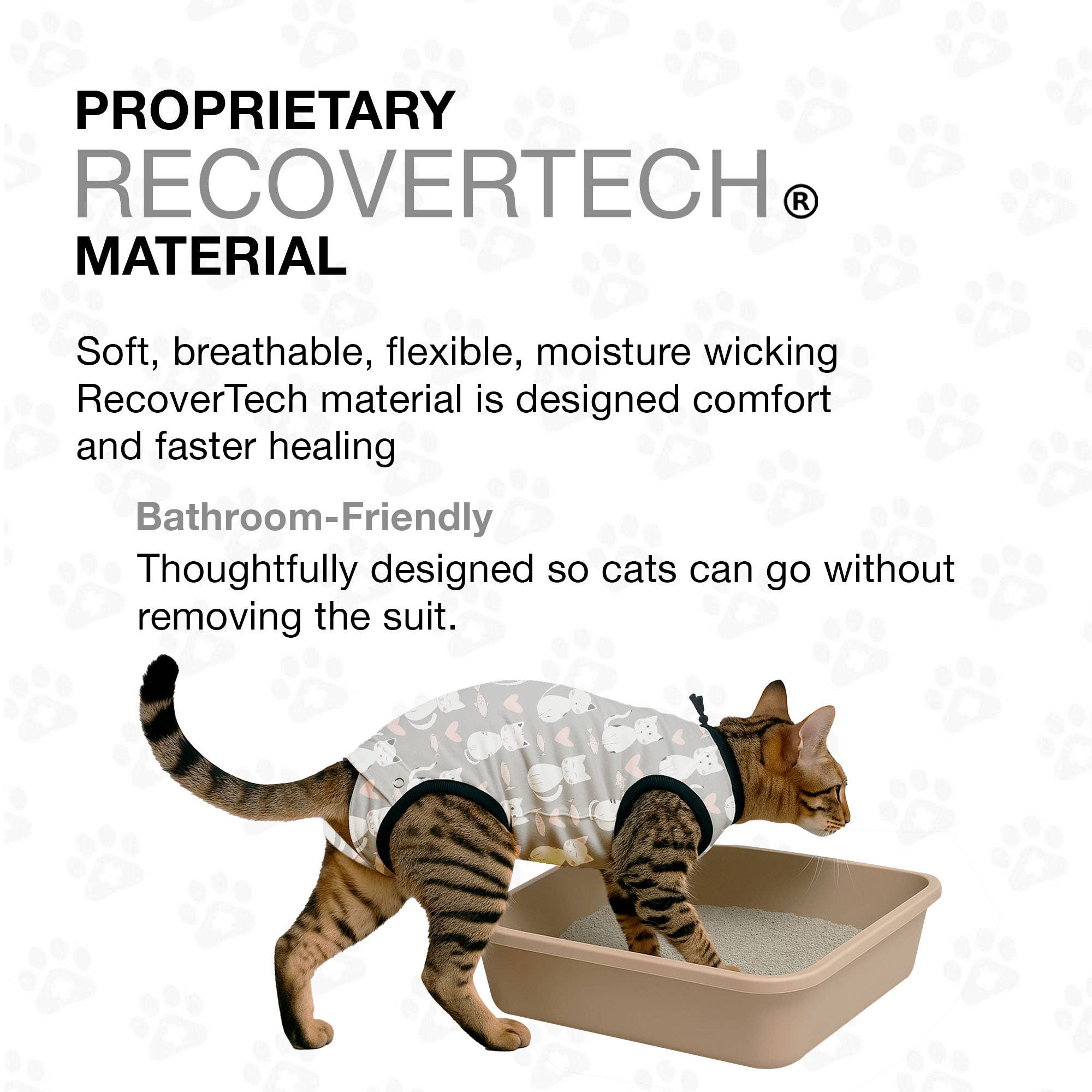 Gris Combinaison de récupération pour chat BellyGuard - Poisson gris en vente sur Faire5