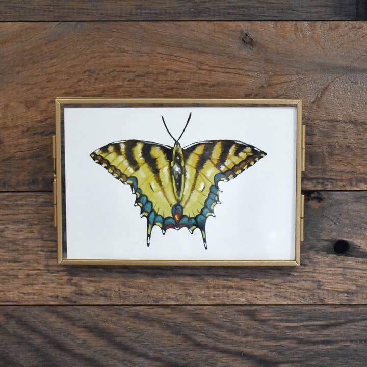 Oosterse tijgerzwaluwstaartvlinder 4x6 aquarelprint voor wholesale door Hadley Richards Designs