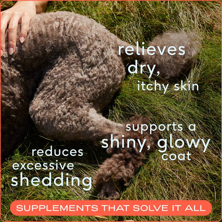Native Pet - Wholesale Pet Supplement - Cat/Dog - Omega-3 Fish Oil, Skin & Coat Health Supplement for Dogs